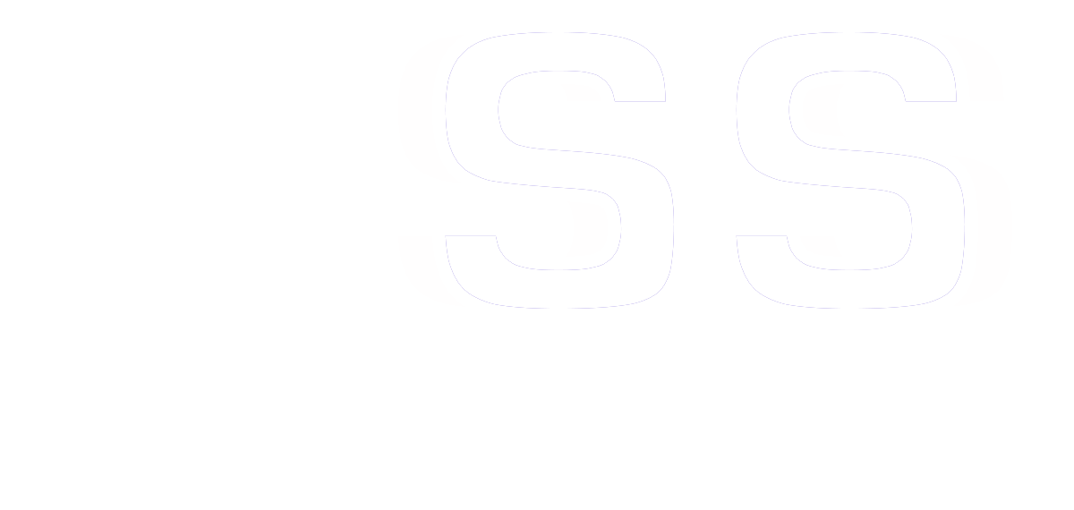 webstudioNSS