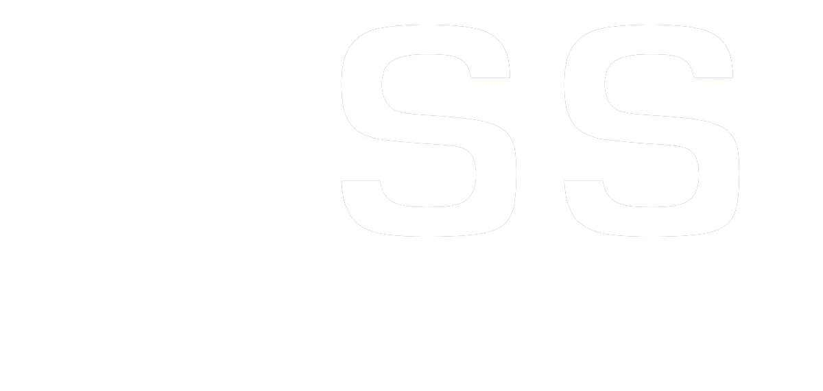 webstudioNSS